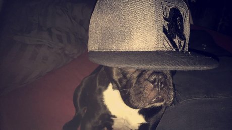 Olsern modèle sympa des photos