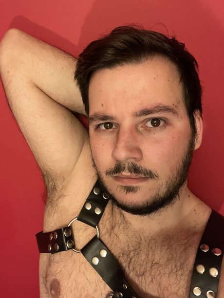 Teddy bear Lx haut modèle images