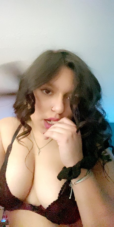 Z S star du porno érotique collection