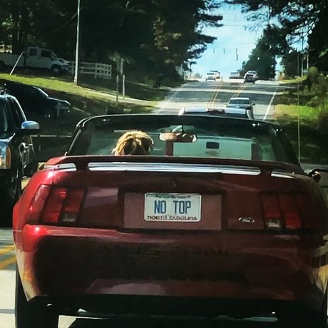 YZ TTG ENT actrice de grande qualité image