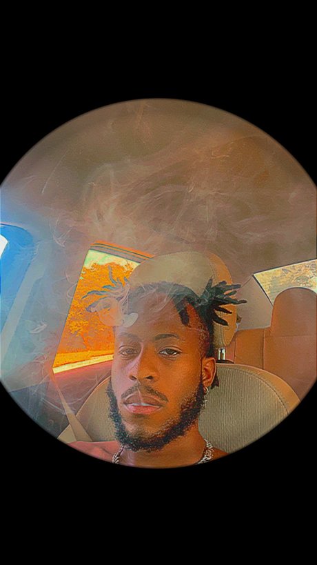 _rgr r_ star du porno adulte collection