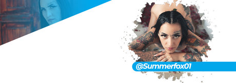 SUMMER FOX_ art étoile images