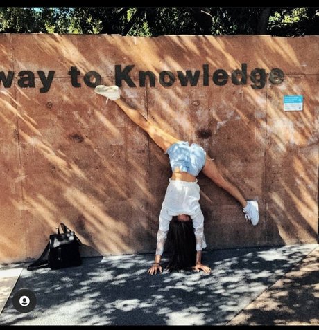 Mari Lou étoile de l'art galerie