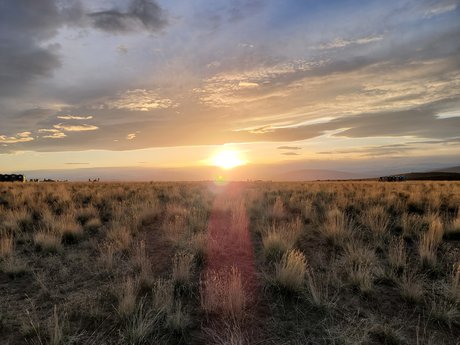 Fusionho nus étoiles galeries