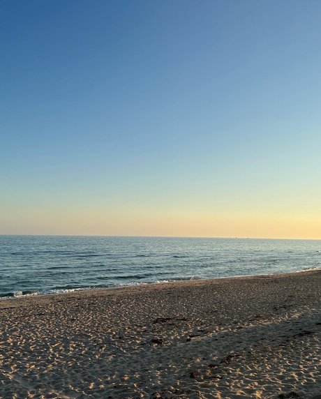 Forbidden Fantasee nus de stars du porno galeries