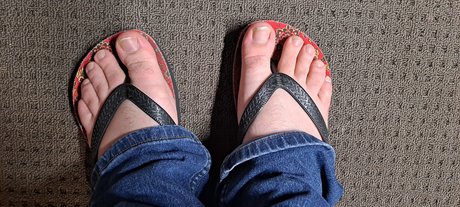 K s Sole modèle gratuit archive