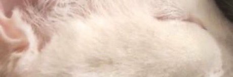 fans de milf gothique uniquement nu meilleur des photos