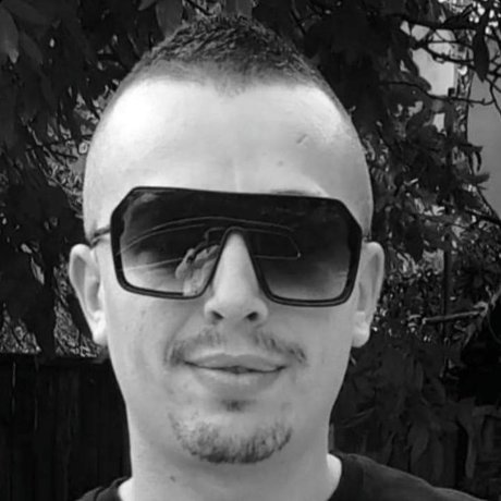 Silviu Zota beau modèle galeries