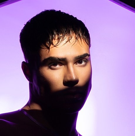 Guilhermo art star du porno collection