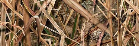 grosse bite trans onlyfans nu exclusif images