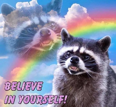 Ya boi belle star du porno archive