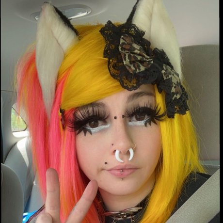 Meowlex star du porno adulte collection