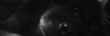 PaT D_ star du porno exclusive des photos