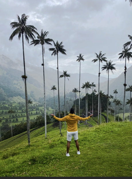 Saca modèle artistique galerie