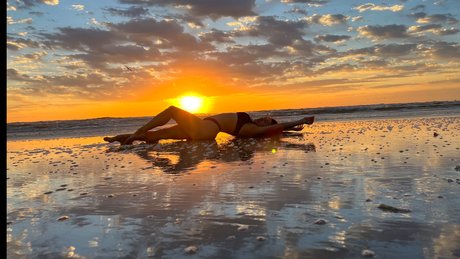 Golden Bunny étoile de haute qualité des photos