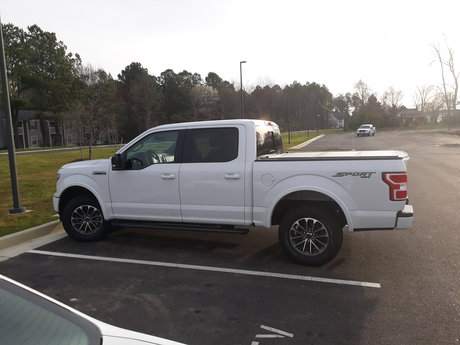 Ibekevinthechat étoile gratuite collection