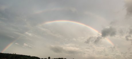 Muskox NSFW 18_ star pornographique img