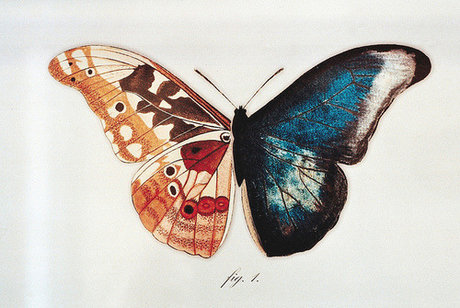 jeunes nus onlyfans assez gratuit photo