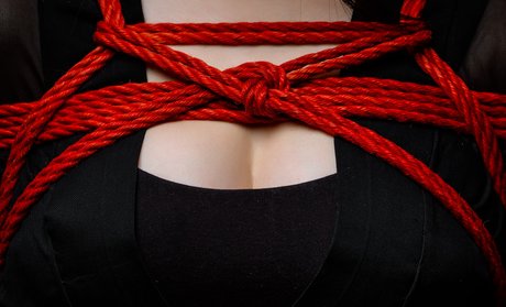 Ivan Grashyn étoile de l'art img