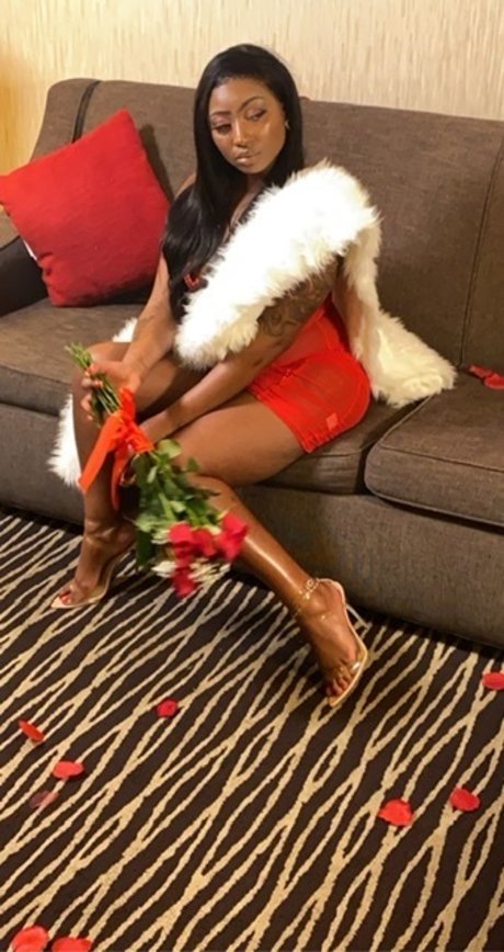 YUMMI nus étoiles galerie