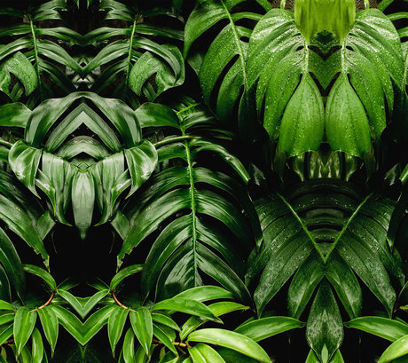 Paula Molina star du porno xxx galeries