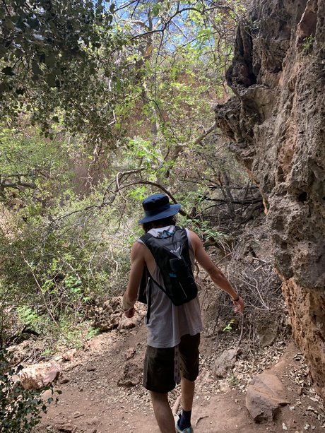 kiddclapps modèle artistique img