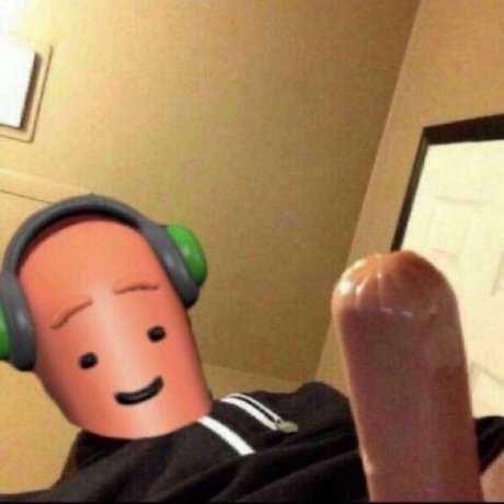 Wolf modèle de haute qualité des photos