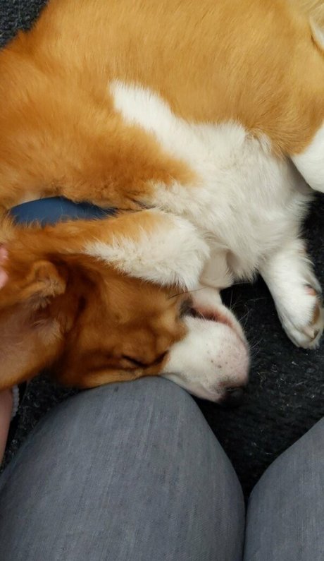 sincerelysarahtrickler modèle images