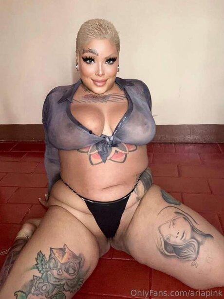 ariapink modèle parfait img