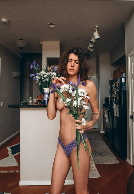 Taratea modèle gratuit des photos