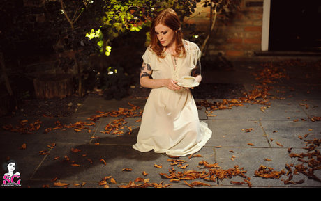 Annalee sexe star du porno collection