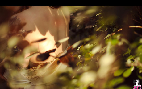 fans de nu noir uniquement assez hd photo