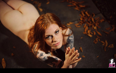 Annalee étoile sympa archive