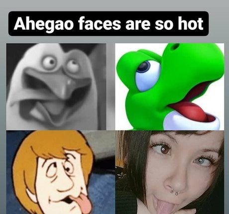 chobycat art modèle image