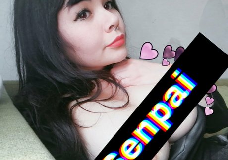 chobycat étoile gratuite images