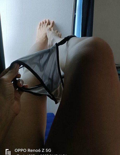 Fonfriendly56 étoile de haute qualité galerie