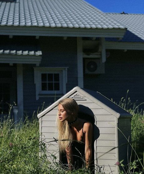 Gubernatar modèle magnifique galerie