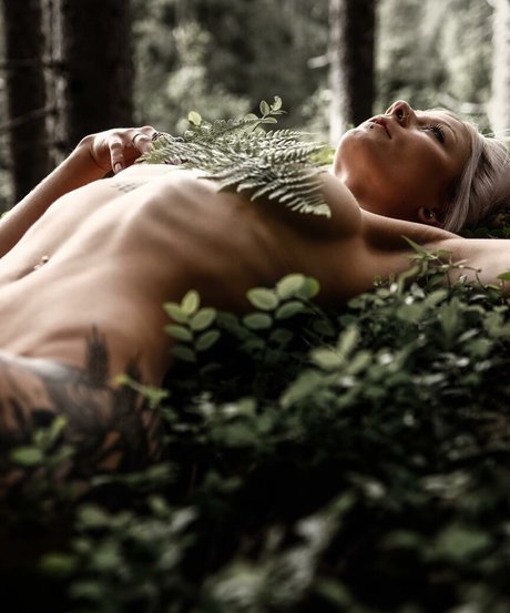 withered rose actrice érotique collection