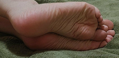 packdopedaingrid nus de stars du porno img