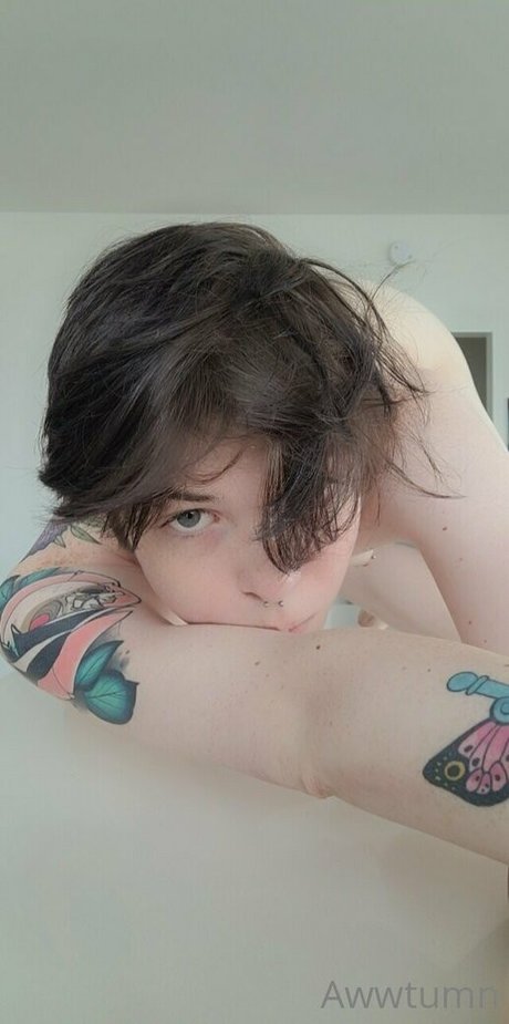 awwtumdabottom haut modèle img