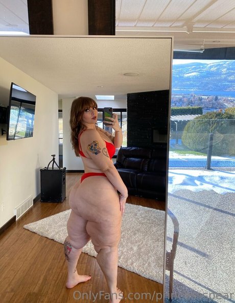 princessspear haut de star du porno collection