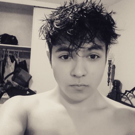 Eddy Rocha star du porno en haute qualité photo