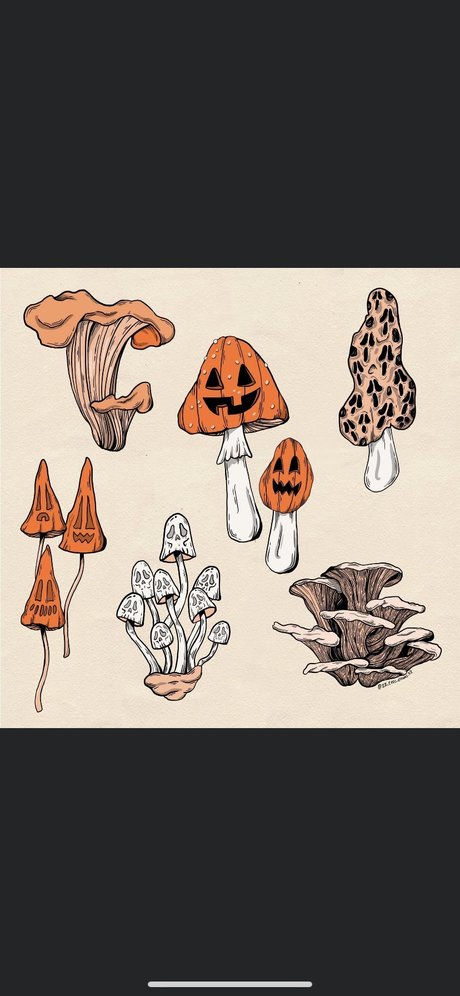 ZanaSossa actrice xxx archive