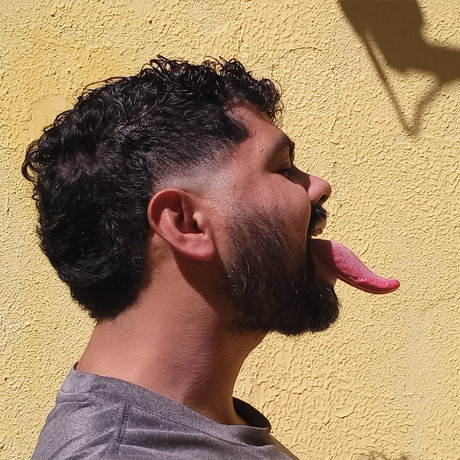 Montanharj29 étoile adulte images