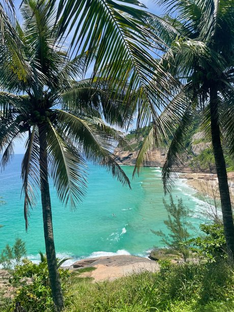 Tom Lovenuts xxx star du porno images