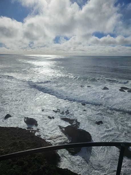 CD Juicy D actrice libre collection