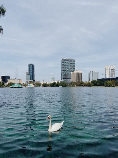 Spritzdad meilleure étoile des photos