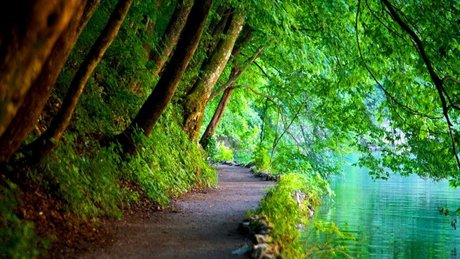 Xaea Zen meilleure actrice photos