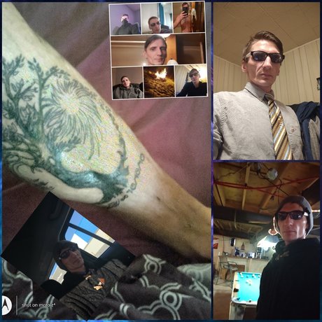 _Untamable_ star du porno parfaite img