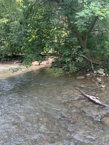 Twink3119 star du porno belle photo